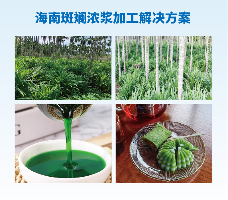 海南斑斕濃漿加工解決方案.jpg